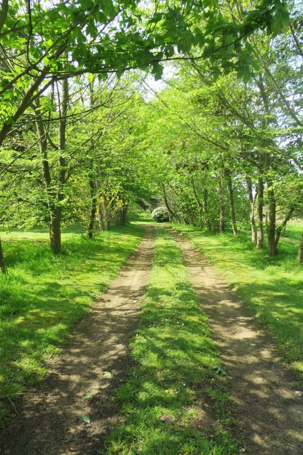 Villa Les crèches de Boiséon Penvénan Esterno foto