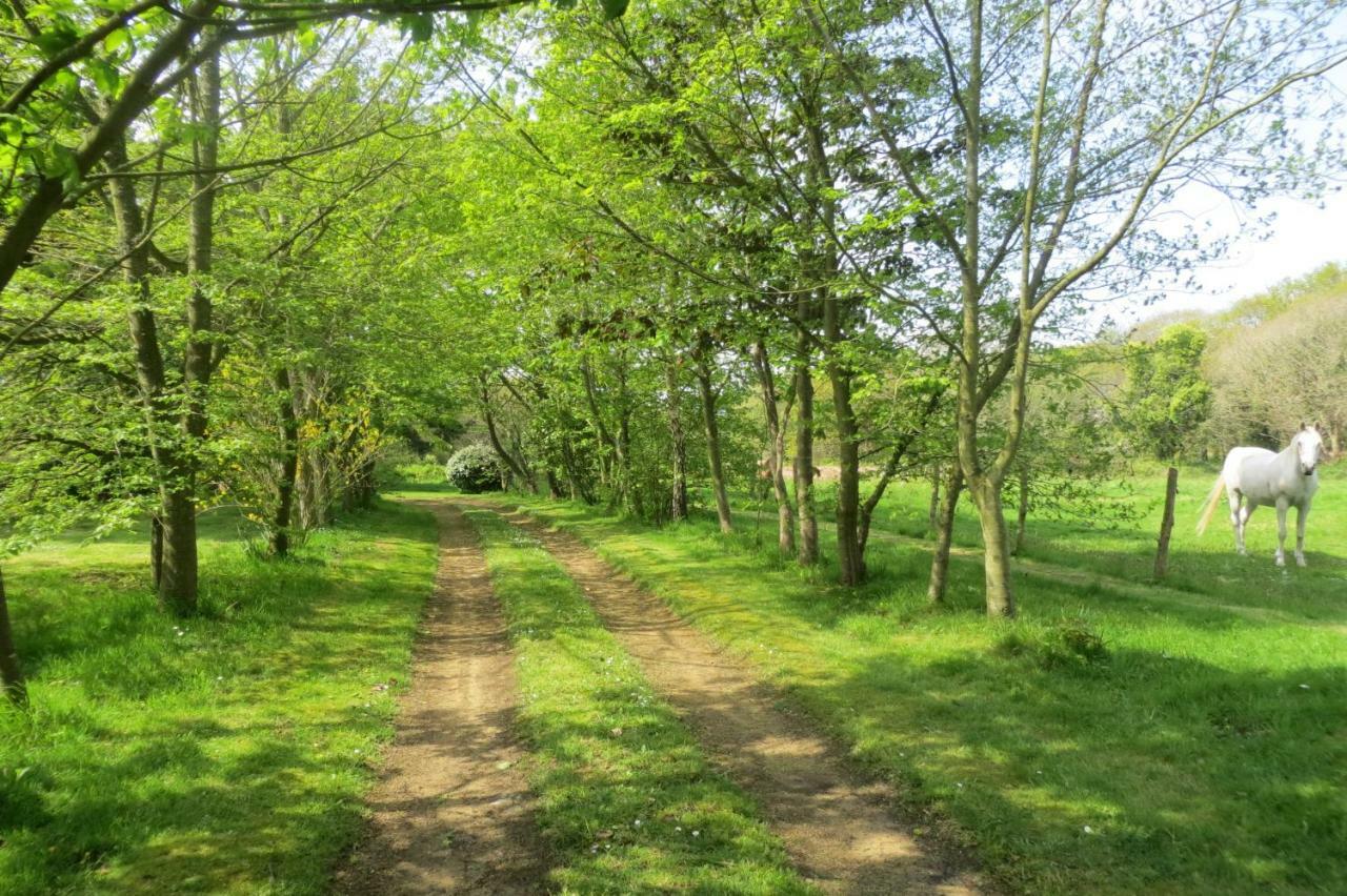 Villa Les crèches de Boiséon Penvénan Esterno foto